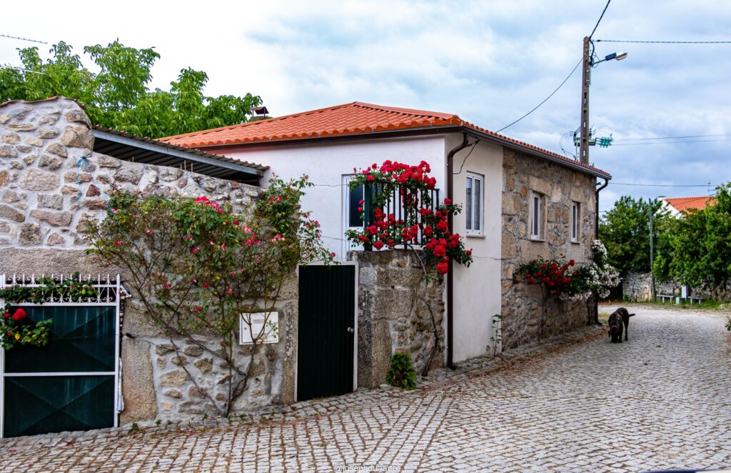 Photo 2026 02 05 06 08 53 (2)